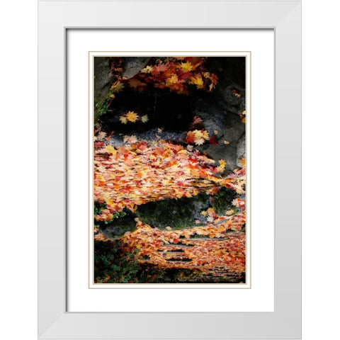 Fall Mandala I White Modern Wood Framed Art Print with Double Matting by Geyman, Vitaly