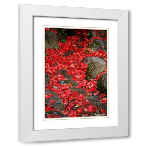Fall Mandala II White Modern Wood Framed Art Print with Double Matting by Geyman, Vitaly