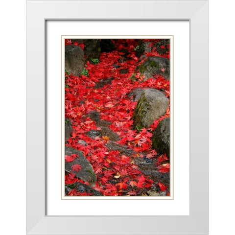 Fall Mandala II White Modern Wood Framed Art Print with Double Matting by Geyman, Vitaly