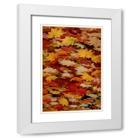 Fall Mandala III White Modern Wood Framed Art Print with Double Matting by Geyman, Vitaly