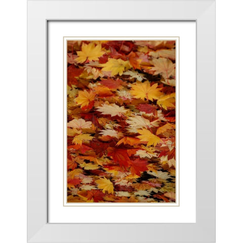 Fall Mandala III White Modern Wood Framed Art Print with Double Matting by Geyman, Vitaly