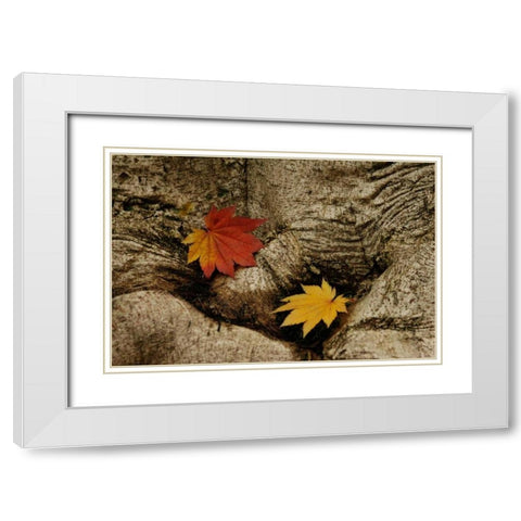 Ancient Beauty White Modern Wood Framed Art Print with Double Matting by Geyman, Vitaly