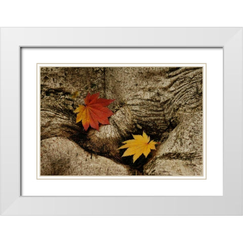 Ancient Beauty White Modern Wood Framed Art Print with Double Matting by Geyman, Vitaly
