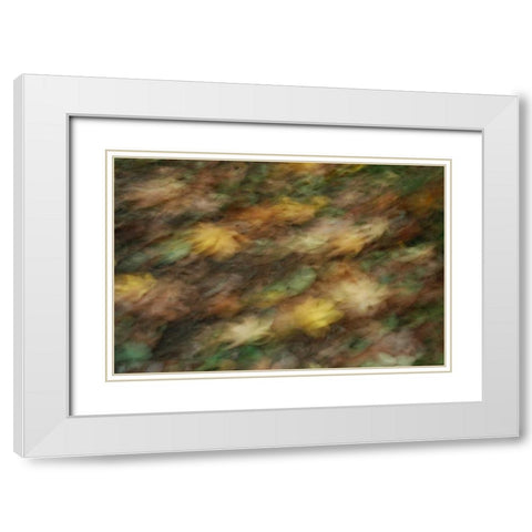 Fall Impressions I White Modern Wood Framed Art Print with Double Matting by Geyman, Vitaly