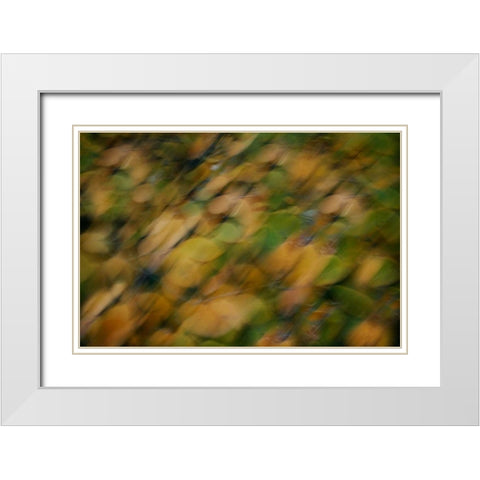 Nature Softness I White Modern Wood Framed Art Print with Double Matting by Geyman, Vitaly