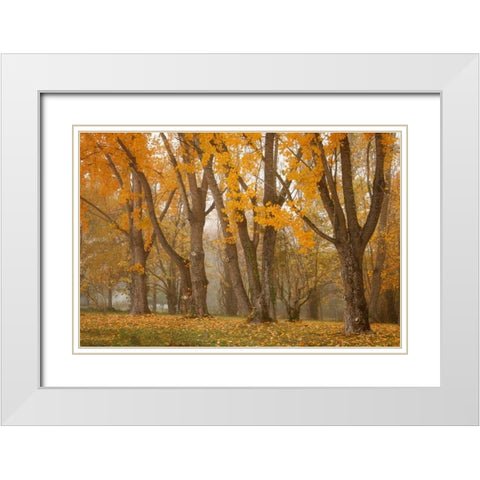 Maple Parade I White Modern Wood Framed Art Print with Double Matting by Geyman, Vitaly