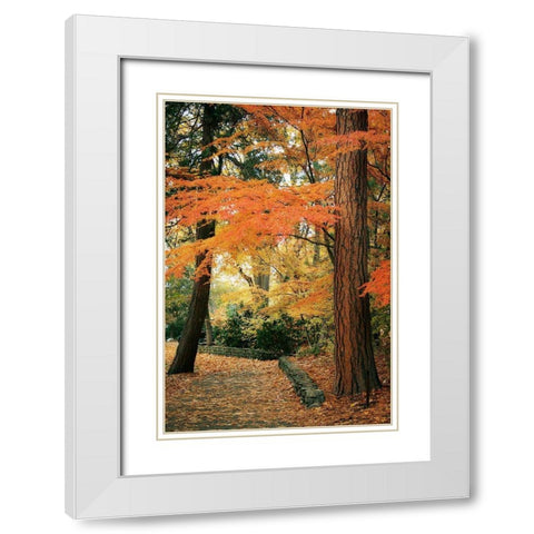 Fall Colors I White Modern Wood Framed Art Print with Double Matting by Geyman, Vitaly