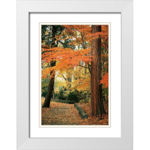 Fall Colors I White Modern Wood Framed Art Print with Double Matting by Geyman, Vitaly
