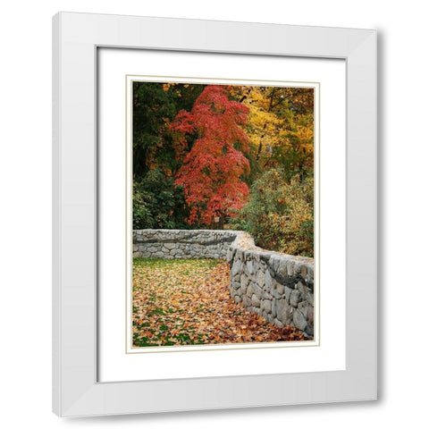 Fall Colors II White Modern Wood Framed Art Print with Double Matting by Geyman, Vitaly