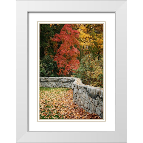 Fall Colors II White Modern Wood Framed Art Print with Double Matting by Geyman, Vitaly
