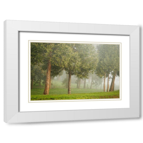 Mystic Woods I White Modern Wood Framed Art Print with Double Matting by Geyman, Vitaly