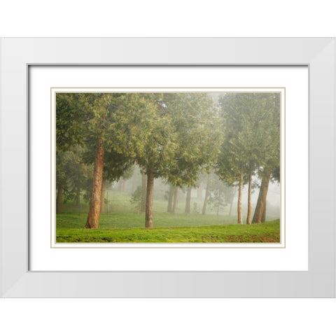 Mystic Woods I White Modern Wood Framed Art Print with Double Matting by Geyman, Vitaly