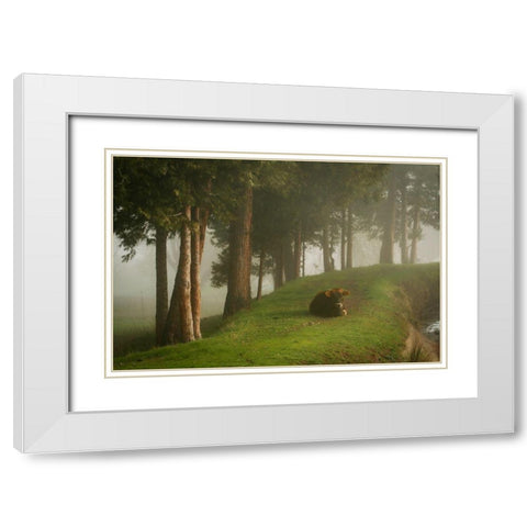 Mystic Woods II White Modern Wood Framed Art Print with Double Matting by Geyman, Vitaly