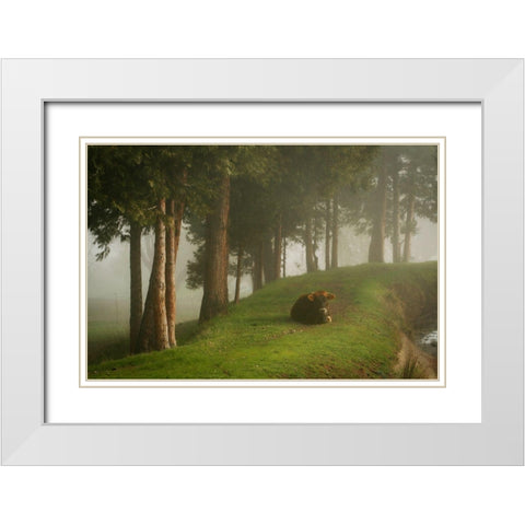 Mystic Woods II White Modern Wood Framed Art Print with Double Matting by Geyman, Vitaly
