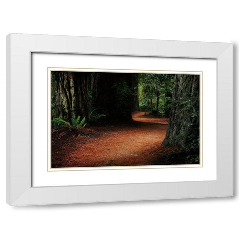 Redwood Mystery White Modern Wood Framed Art Print with Double Matting by Geyman, Vitaly