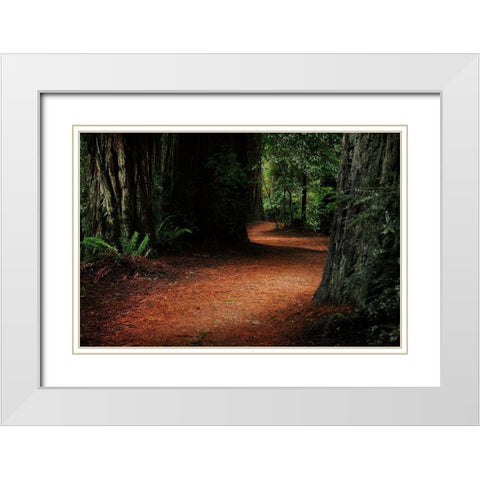 Redwood Mystery White Modern Wood Framed Art Print with Double Matting by Geyman, Vitaly