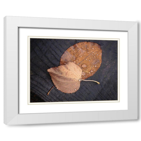 Seasons I White Modern Wood Framed Art Print with Double Matting by Geyman, Vitaly