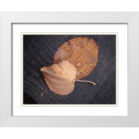 Seasons I White Modern Wood Framed Art Print with Double Matting by Geyman, Vitaly