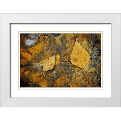 Curb Leaves White Modern Wood Framed Art Print with Double Matting by Geyman, Vitaly