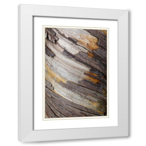 Bark Art I White Modern Wood Framed Art Print with Double Matting by Geyman, Vitaly