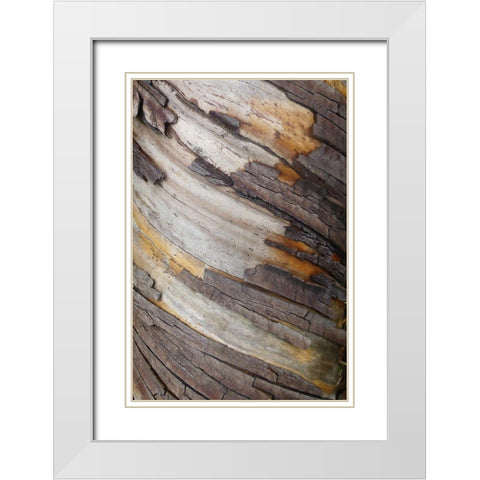Bark Art I White Modern Wood Framed Art Print with Double Matting by Geyman, Vitaly