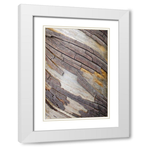 Bark Art II White Modern Wood Framed Art Print with Double Matting by Geyman, Vitaly