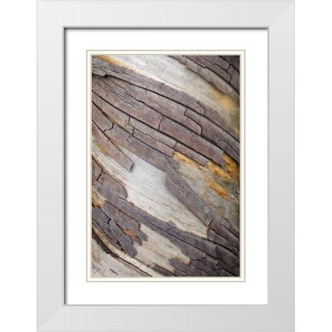 Bark Art II White Modern Wood Framed Art Print with Double Matting by Geyman, Vitaly