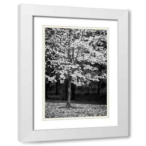 Silver Fall III White Modern Wood Framed Art Print with Double Matting by Geyman, Vitaly
