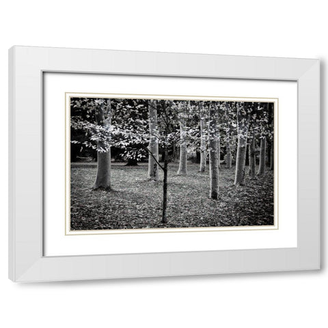 Primadona White Modern Wood Framed Art Print with Double Matting by Geyman, Vitaly
