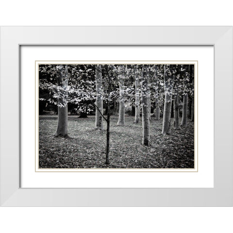 Primadona White Modern Wood Framed Art Print with Double Matting by Geyman, Vitaly