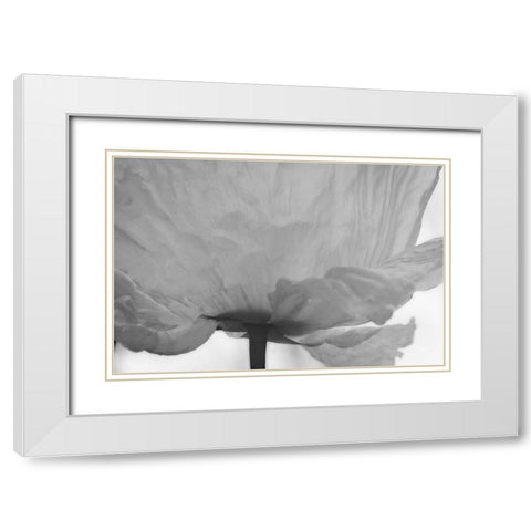 Poppy Elegance I White Modern Wood Framed Art Print with Double Matting by Geyman, Vitaly
