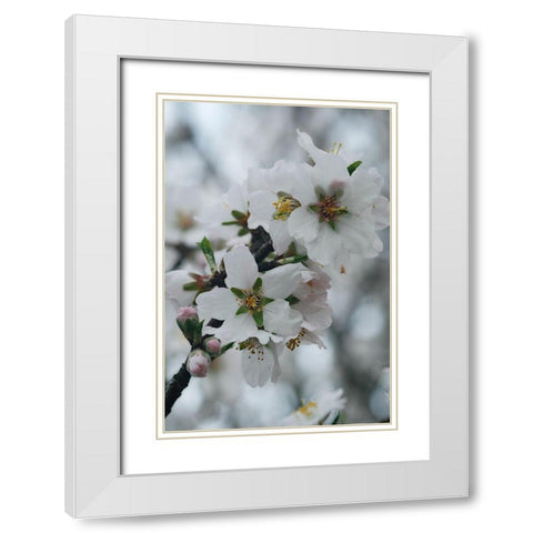 Spring Blossoms I White Modern Wood Framed Art Print with Double Matting by Geyman, Vitaly