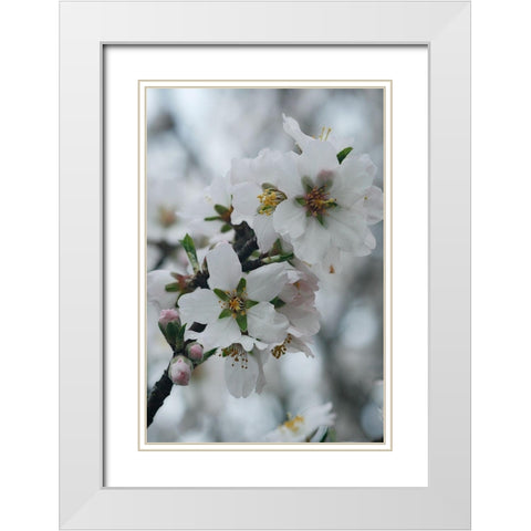 Spring Blossoms I White Modern Wood Framed Art Print with Double Matting by Geyman, Vitaly