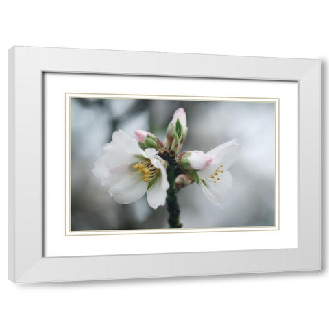 Spring Blossoms III White Modern Wood Framed Art Print with Double Matting by Geyman, Vitaly