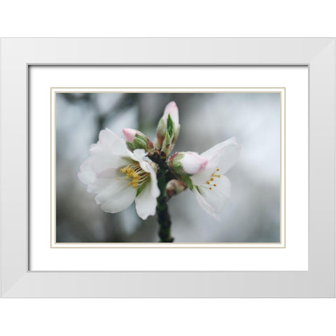 Spring Blossoms III White Modern Wood Framed Art Print with Double Matting by Geyman, Vitaly