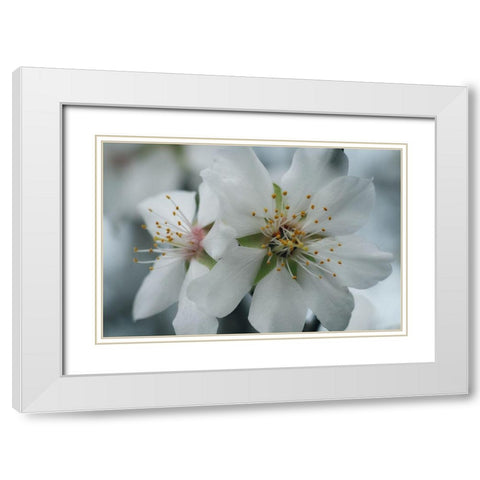 Spring Blossoms IV White Modern Wood Framed Art Print with Double Matting by Geyman, Vitaly