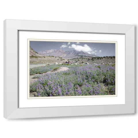 Shasta Majesty II White Modern Wood Framed Art Print with Double Matting by Geyman, Vitaly
