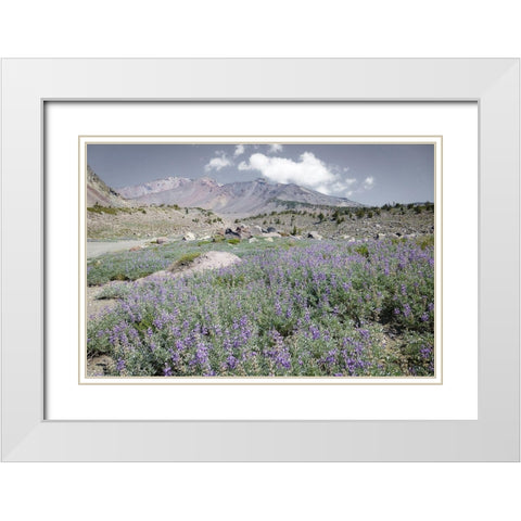 Shasta Majesty II White Modern Wood Framed Art Print with Double Matting by Geyman, Vitaly