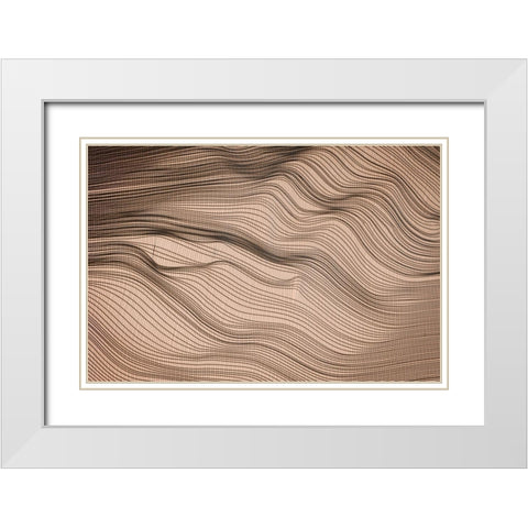 Net Art II White Modern Wood Framed Art Print with Double Matting by Geyman, Vitaly