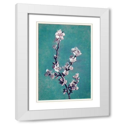 Spring Blossoms on Teal White Modern Wood Framed Art Print with Double Matting by Geyman, Vitaly
