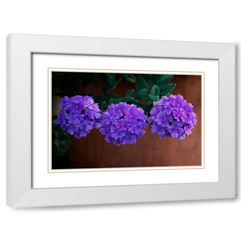 Tri Floral Bouquet White Modern Wood Framed Art Print with Double Matting by Geyman, Vitaly