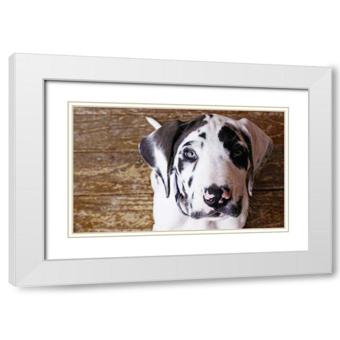 Grace II White Modern Wood Framed Art Print with Double Matting by White, Leesa