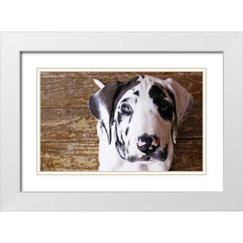 Grace II White Modern Wood Framed Art Print with Double Matting by White, Leesa