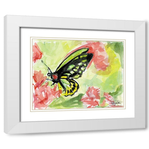 Watercolor Butterfly II White Modern Wood Framed Art Print with Double Matting by Roberto, LuAnn