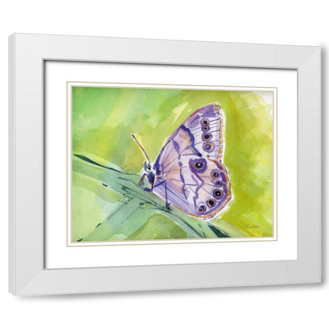 Watercolor Butterfly IV White Modern Wood Framed Art Print with Double Matting by Roberto, LuAnn