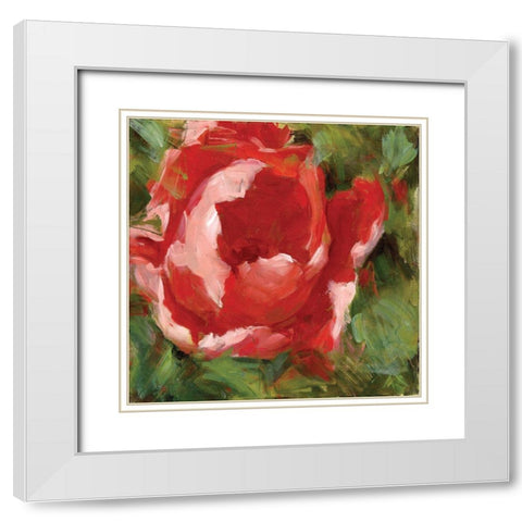 Tulip White Modern Wood Framed Art Print with Double Matting by Salness, Annie