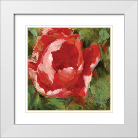 Tulip White Modern Wood Framed Art Print with Double Matting by Salness, Annie