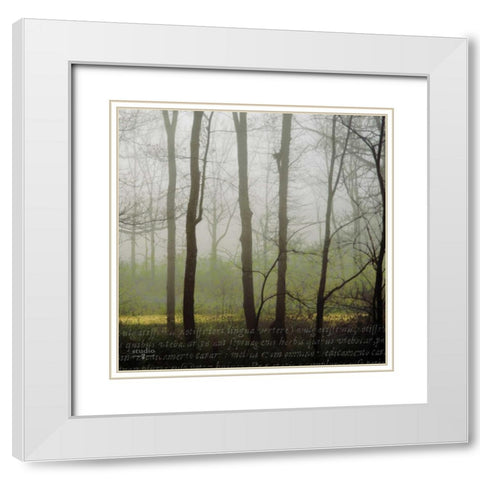 Partners IV White Modern Wood Framed Art Print with Double Matting by Studio 2