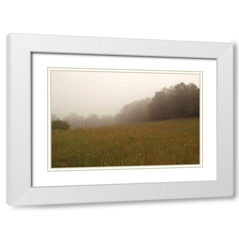 Misty Morning II White Modern Wood Framed Art Print with Double Matting by Studio 2