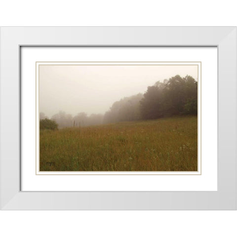Misty Morning II White Modern Wood Framed Art Print with Double Matting by Studio 2